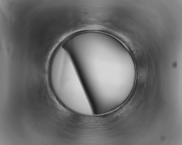 X0000097961414200803241031