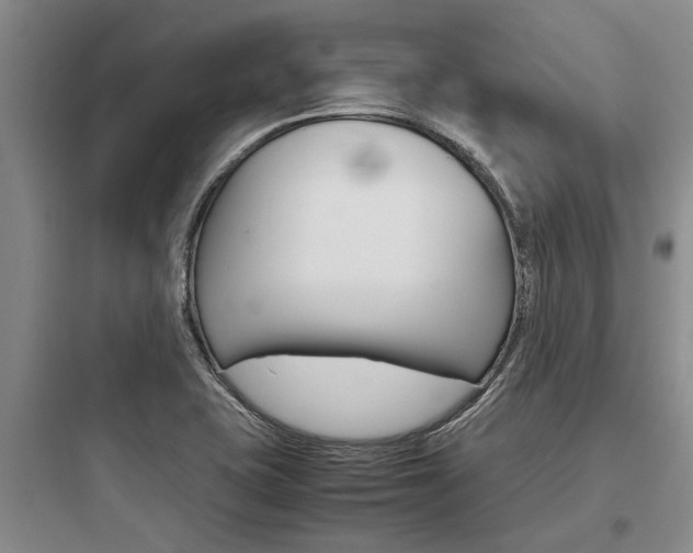 X0000097961415200803241031