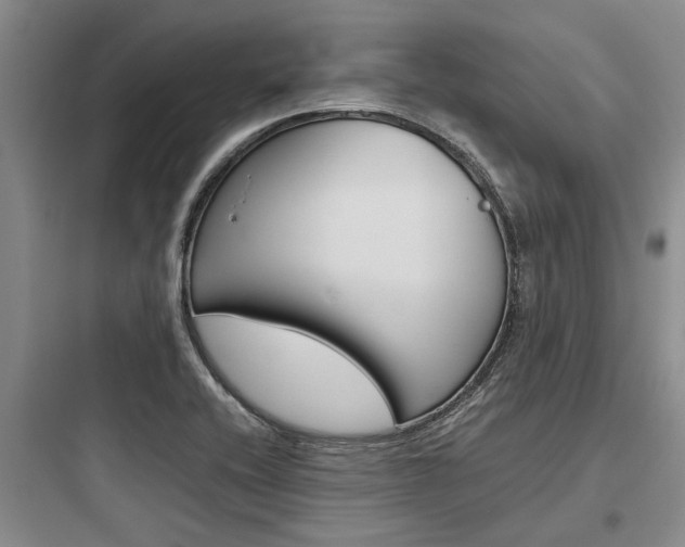 X0000097961416200803241031