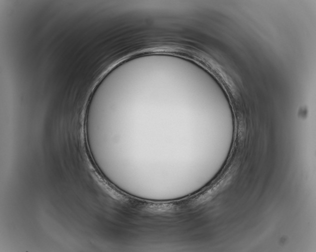 X0000097961417200803241031