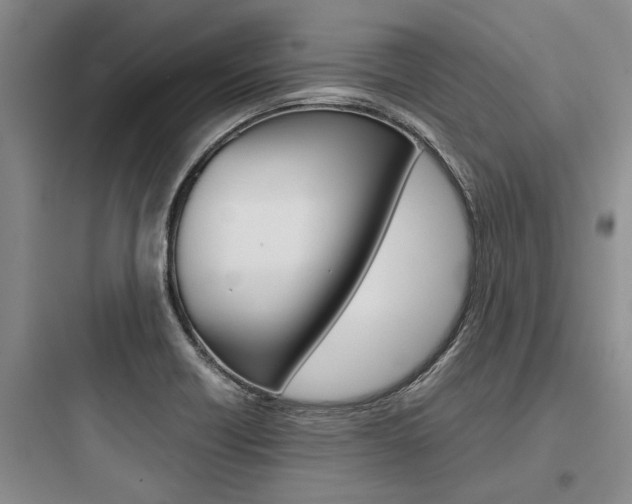 X0000097961418200803241031