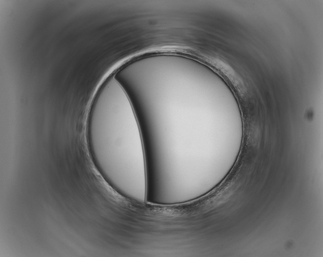X0000097961420200803241031