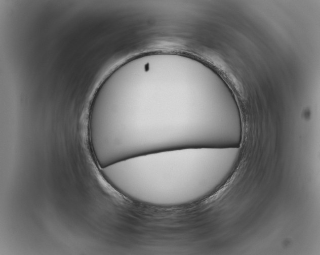X0000097961421200803241031