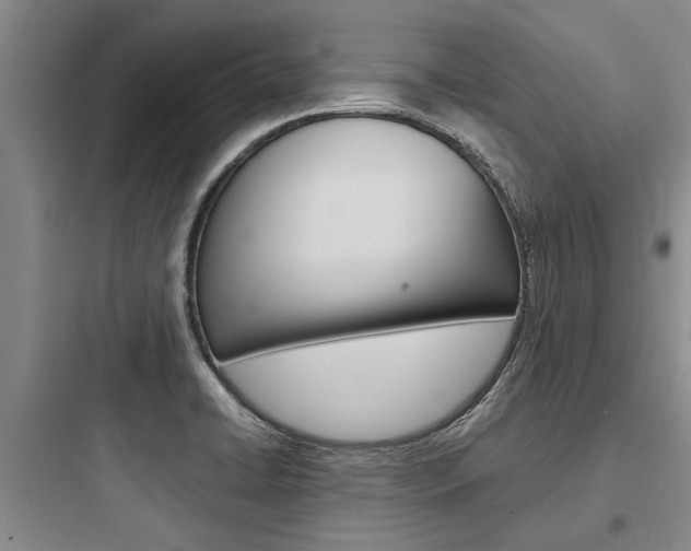 X0000097961422200803241031