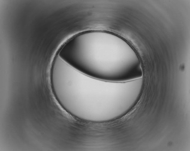 X0000097961424200803241031