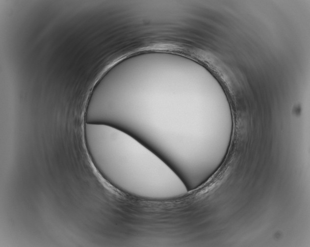 X0000097961425200803241031