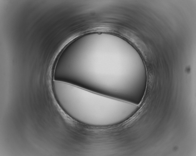 X0000097961426200803241031