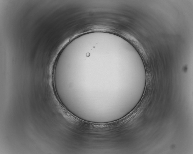 X0000097961427200803241031