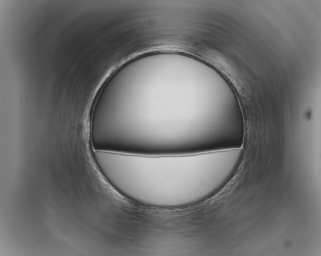 X0000097961428200803241031