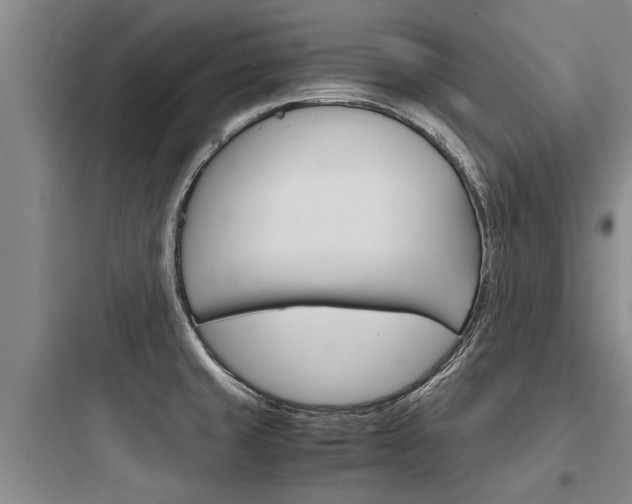 X0000097961429200803241031