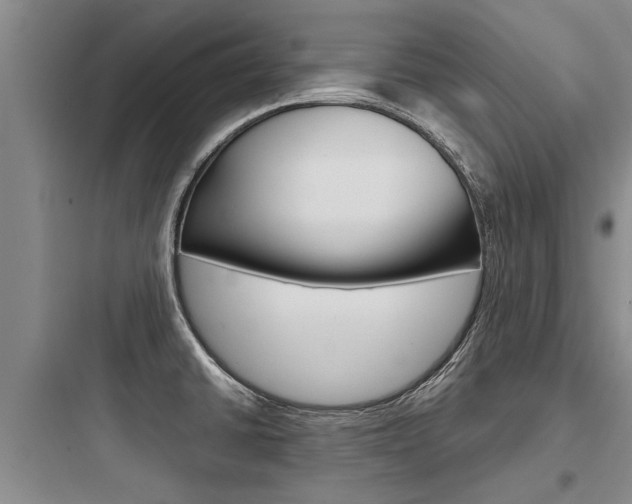 X0000097961430200803241031