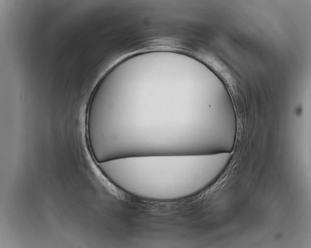 X0000097961431200803241031
