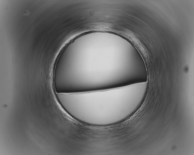 X0000097961432200803241031