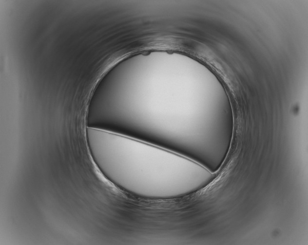 X0000097961433200803241031