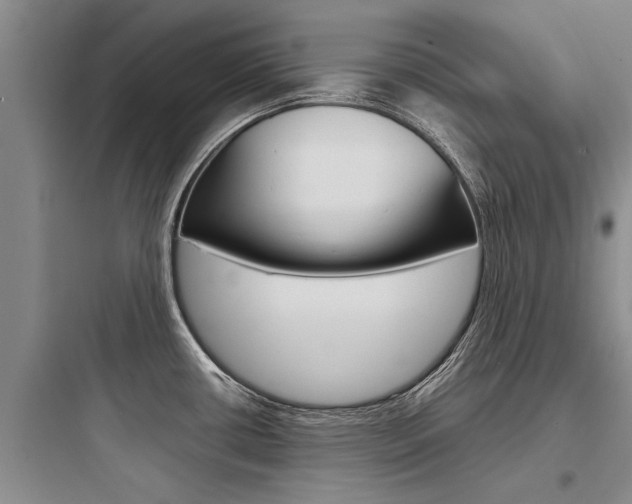 X0000097961434200803241031