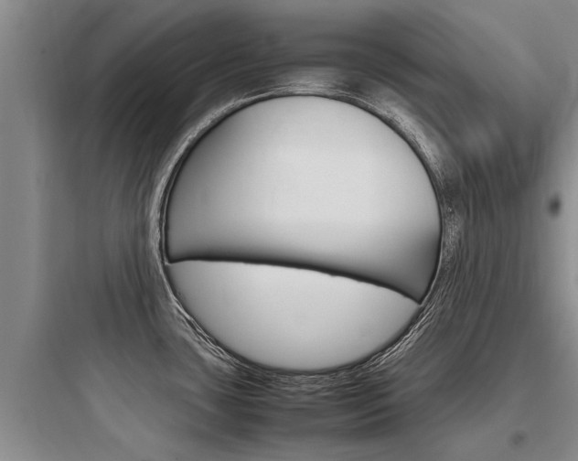 X0000097961435200803241031