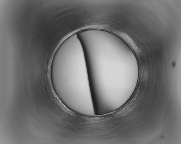 X0000097961436200803241031
