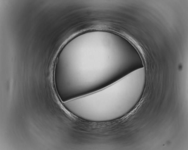 X0000097961437200803241031
