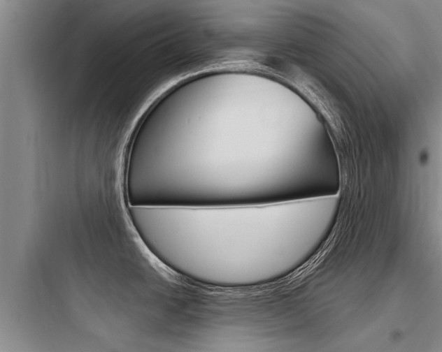 X0000097961438200803241031