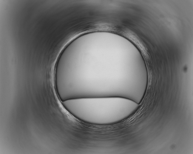 X0000097961439200803241031