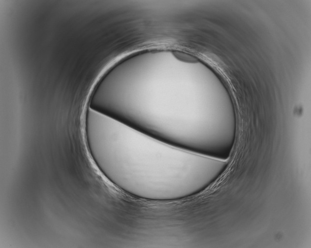 X0000097961440200803241031