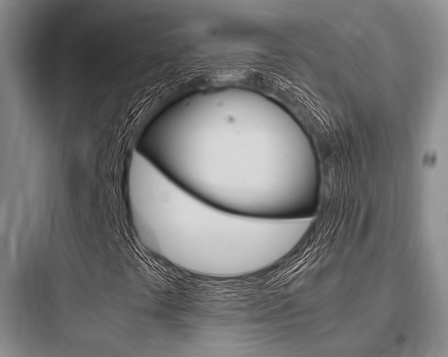 X0000097961441200803241030