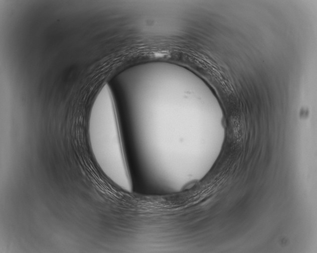 X0000097961442200803241030
