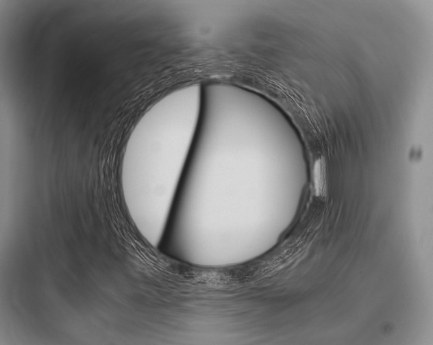 X0000097961443200803241030