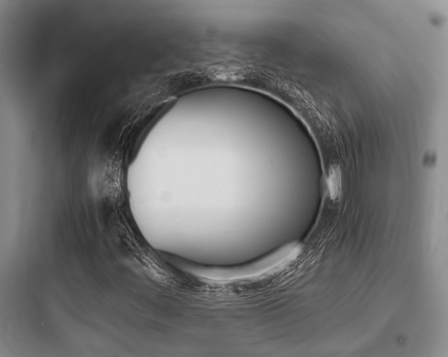 X0000097961444200803241030