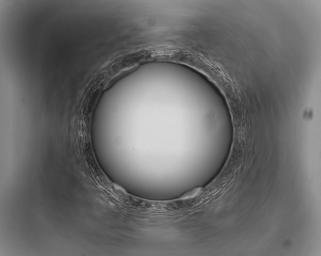 X0000097961445200803241030