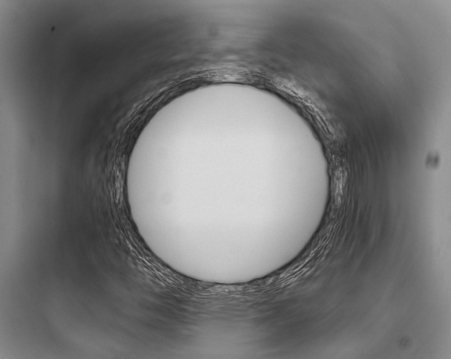 X0000097961446200803241030