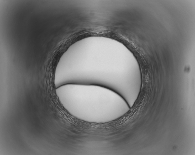 X0000097961447200803241030
