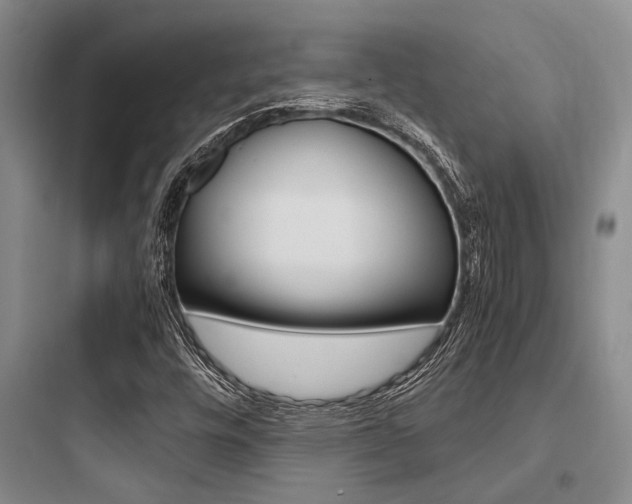 X0000097961448200803241030