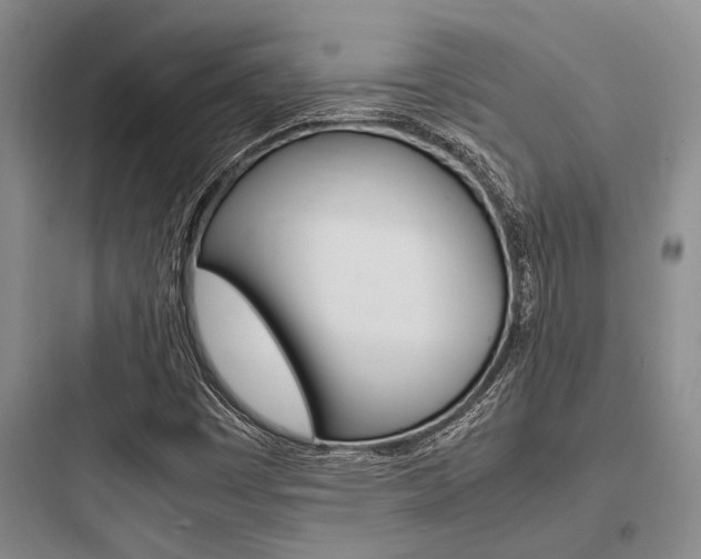 X0000097961449200803241030