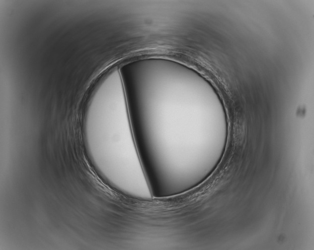 X0000097961450200803241030