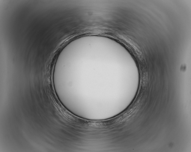 X0000097961451200803241030