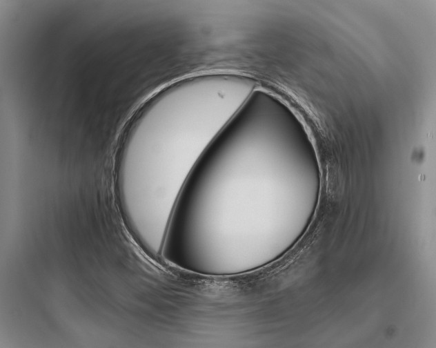 X0000097961452200803241030