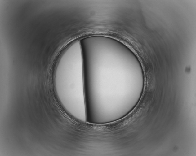 X0000097961453200803241030