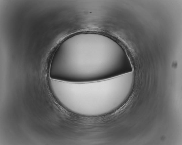 X0000097961455200803241030