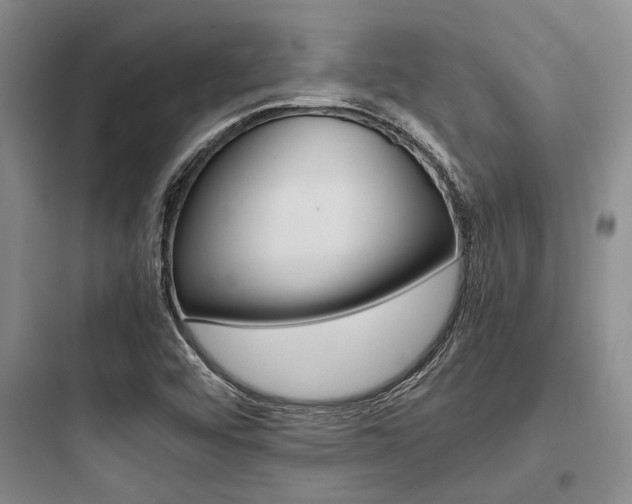 X0000097961456200803241030