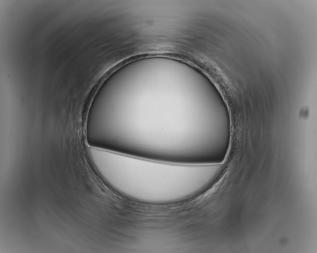 X0000097961457200803241030