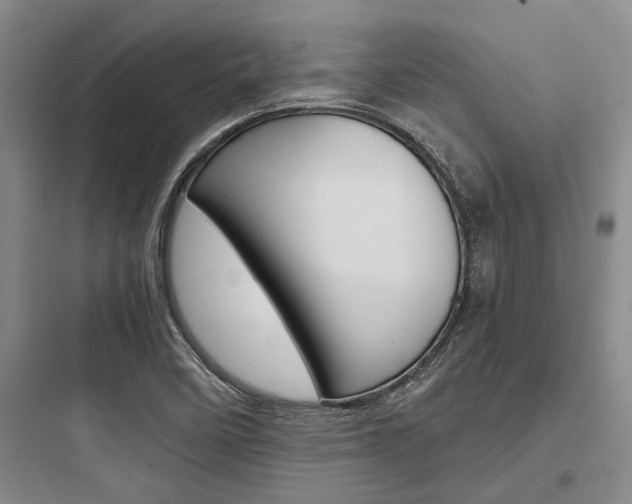 X0000097961458200803241030