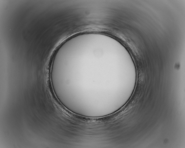 X0000097961459200803241030