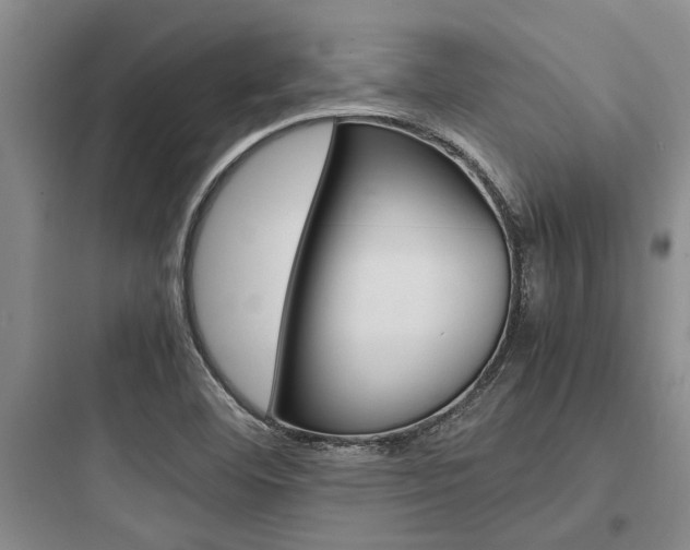 X0000097961460200803241030