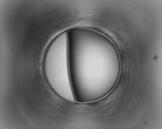 X0000097961461200803241030
