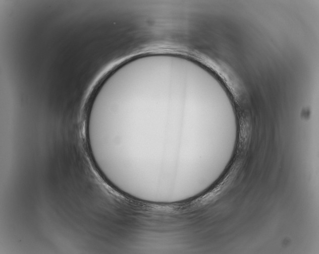 X0000097961462200803241030