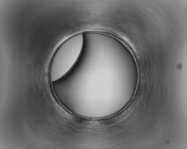 X0000097961463200803241030