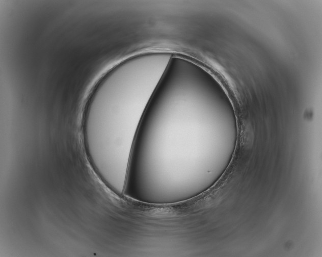 X0000097961464200803241030