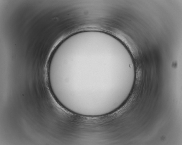 X0000097961466200803241030