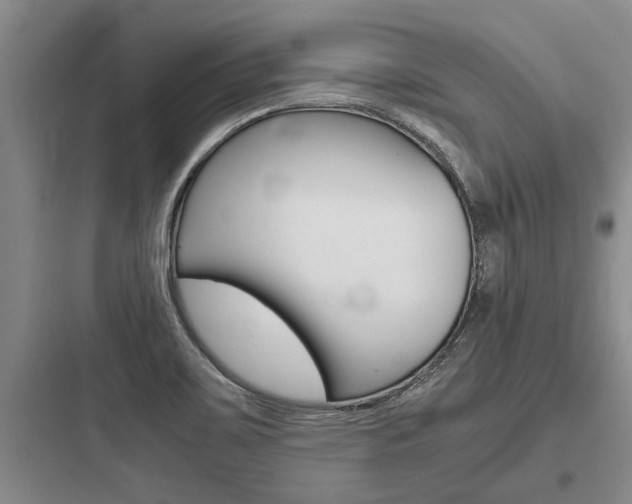 X0000097961467200803241030